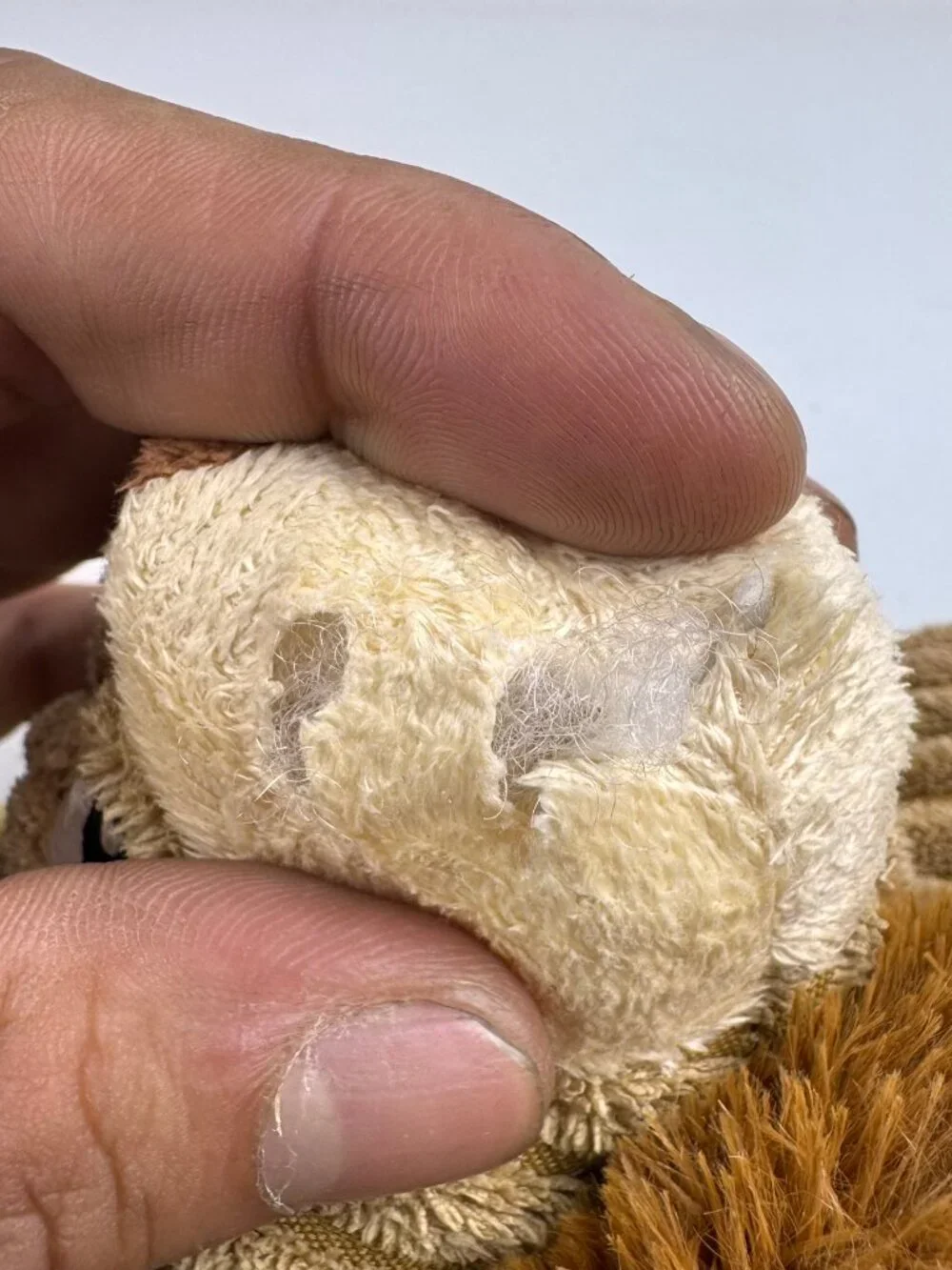 KONG Scrunch Knots Squirrel Plush Dog Toy Squeaker Ribbed Brown 10